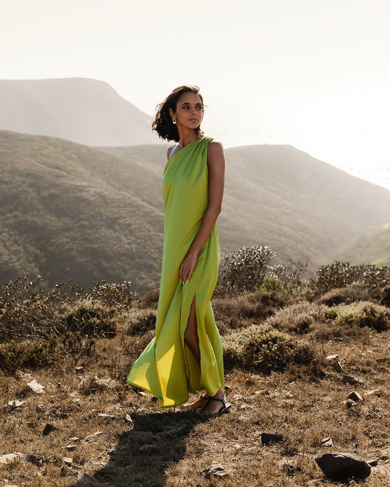 PARVATI DRESS